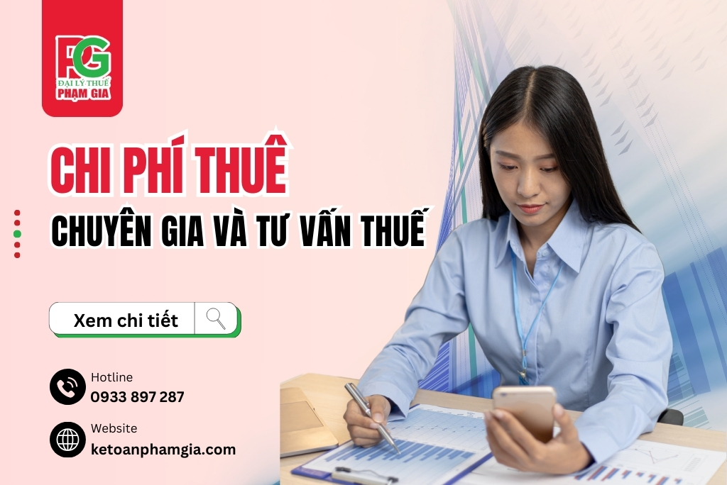Chi Phí Thuê Chuyên Gia Và Tư Vấn Thuế